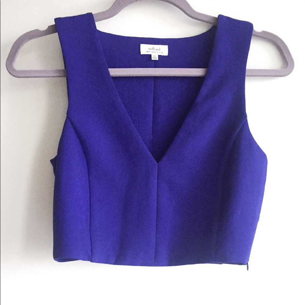 Aritzia Wilfred Dauphine Crop Top
